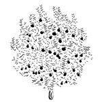 Farm To Skin discount code